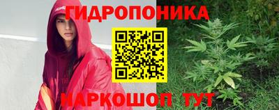 МДПВ Лесосибирск