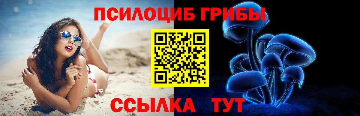 Гусь-Хрустальный  Галлюциногенные грибы Magic Shrooms  Вход с VPN  Псилоцибиновые грибы Cubensis 